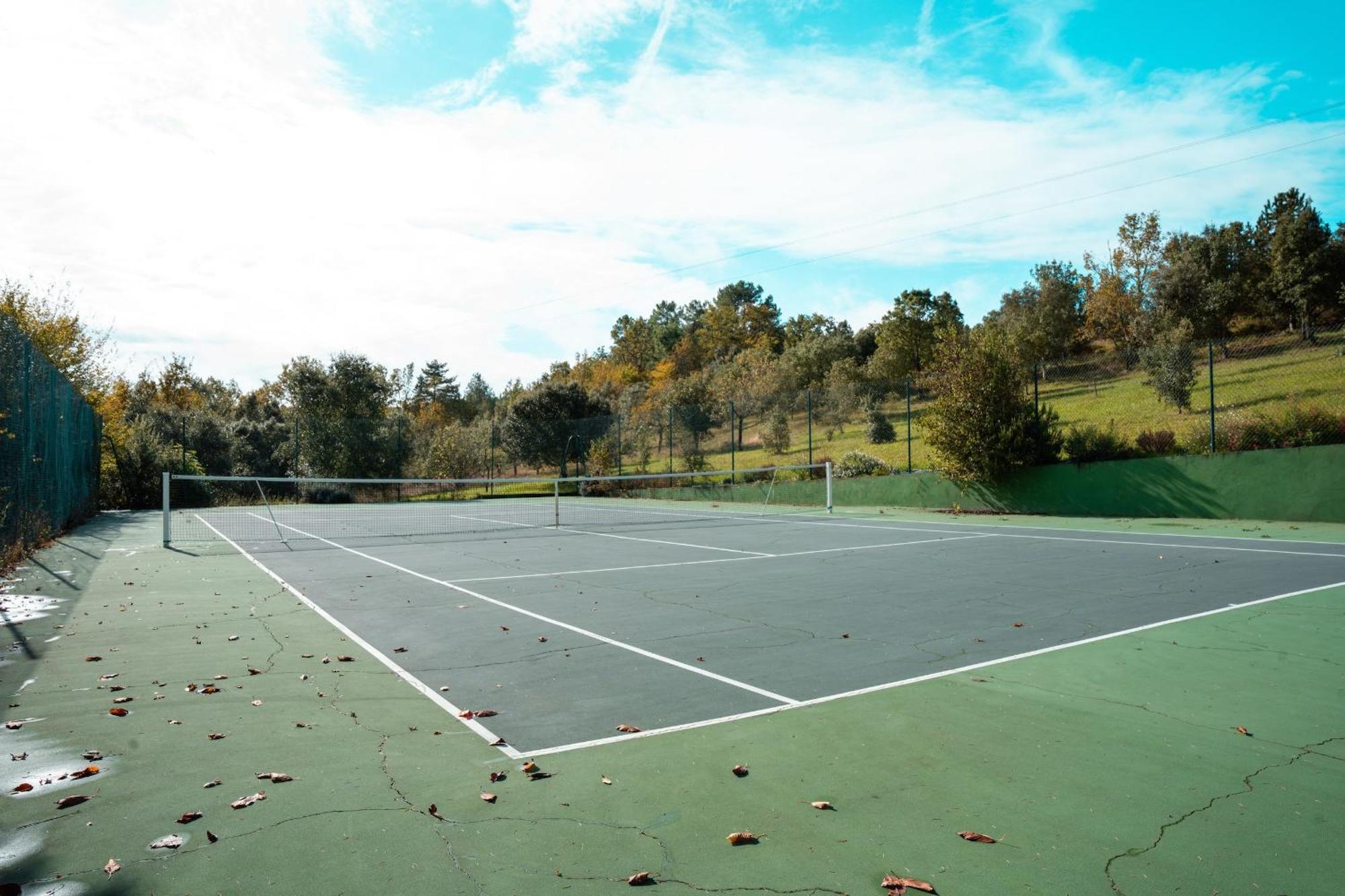 Grande Maison Pour 16 Avec Piscine Et Tennis La Chapelle-Aubareil Exterior foto